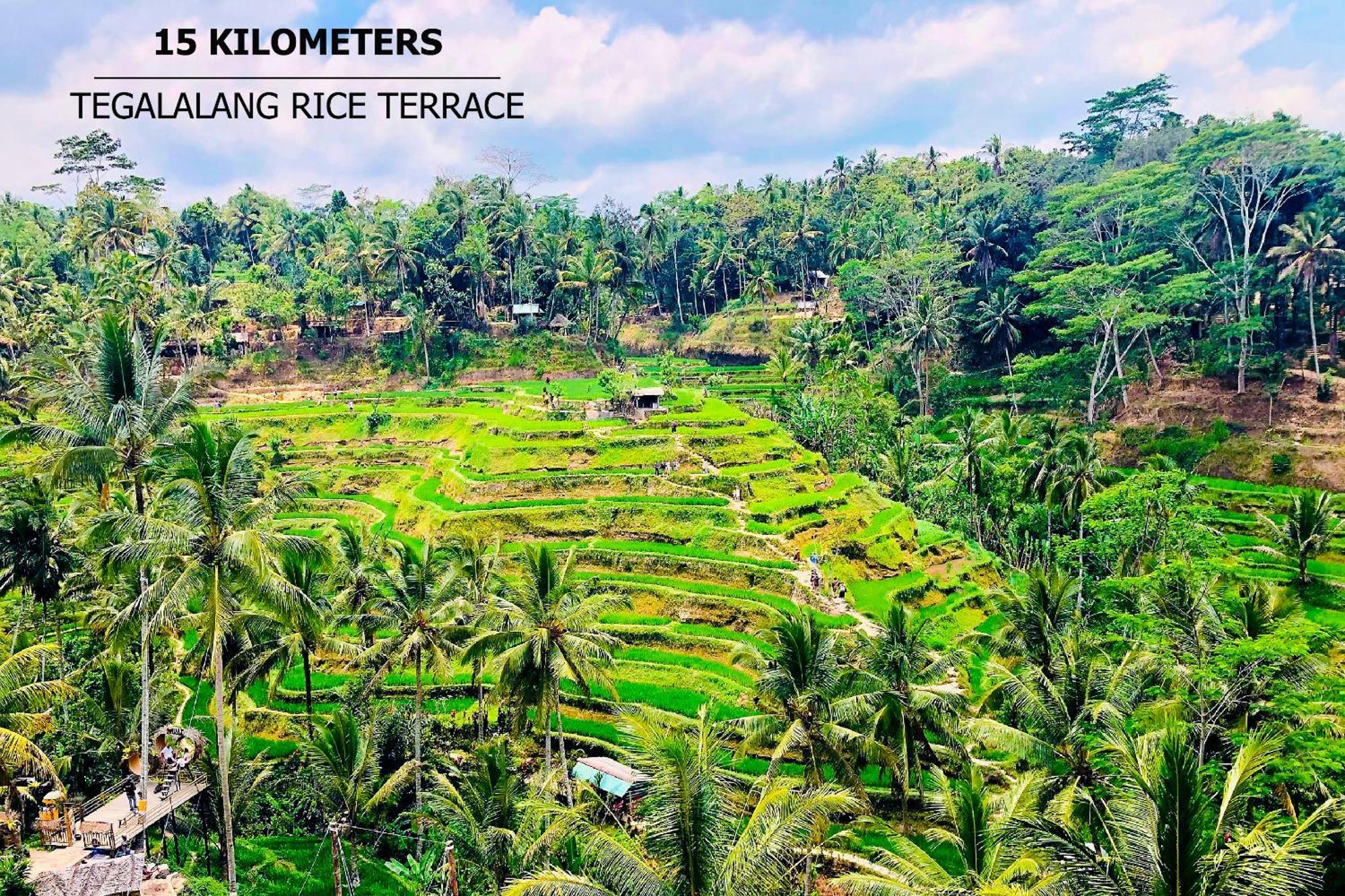 Green Flow Ubud Villas III Esterno foto