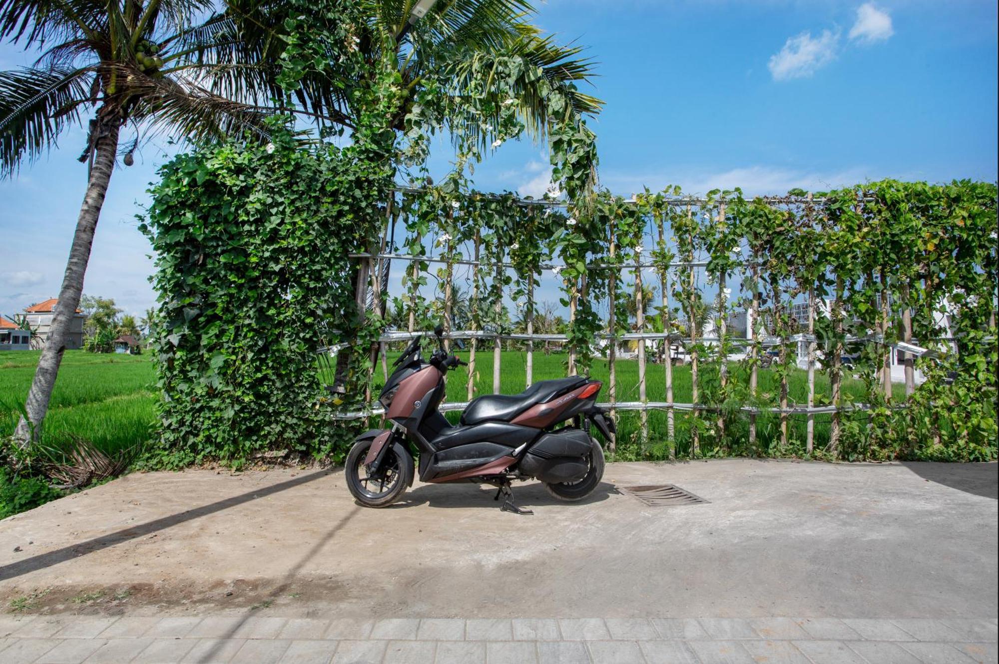 Green Flow Ubud Villas III Camera foto