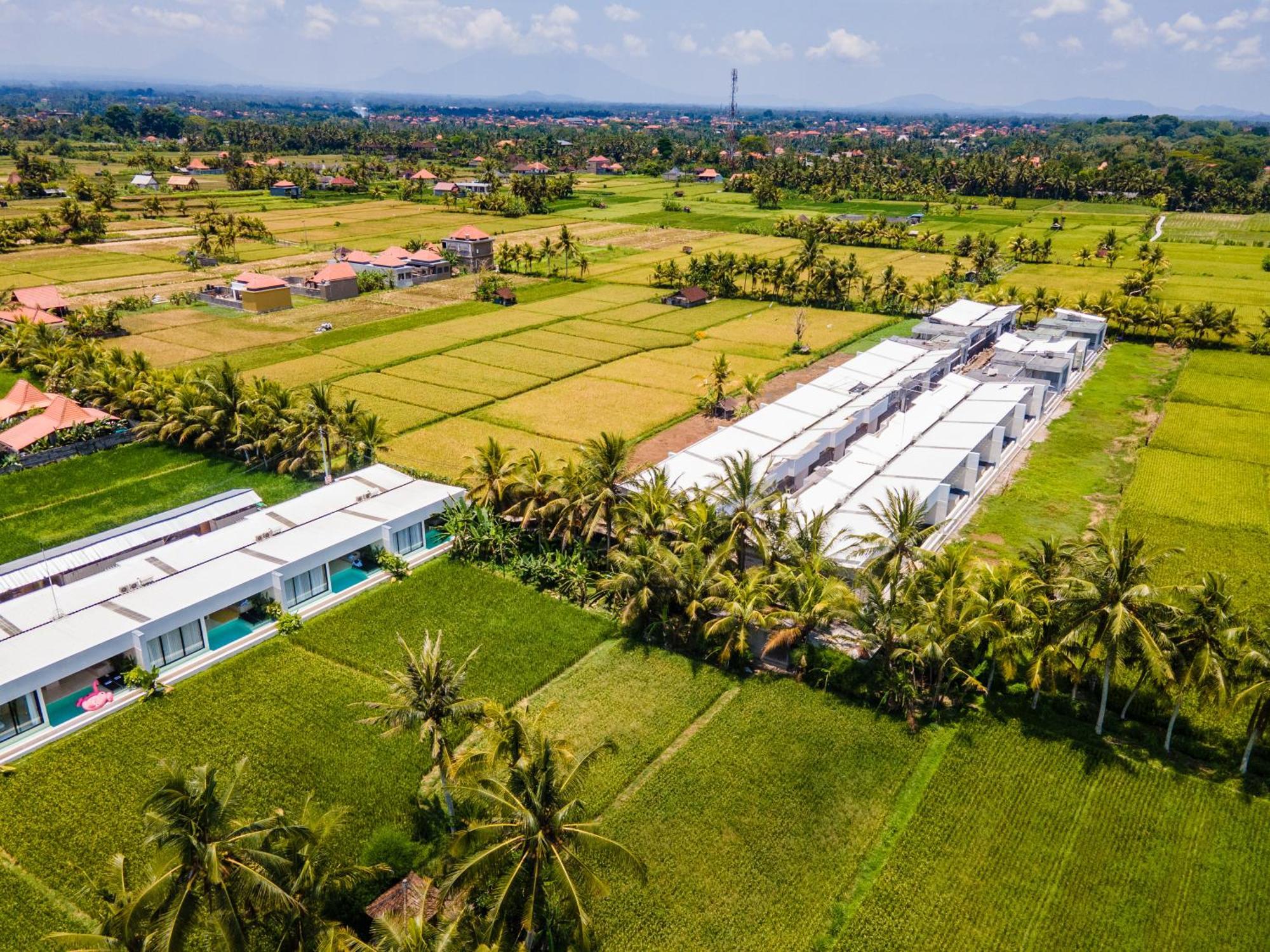 Green Flow Ubud Villas III Esterno foto